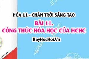Công thức cấu tạo của hợp chất hữu cơ, thuyết cấu tạo hóa học? Hoá 11 chân trời bài 11